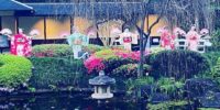 Event – An Evening in a Japanese Garden